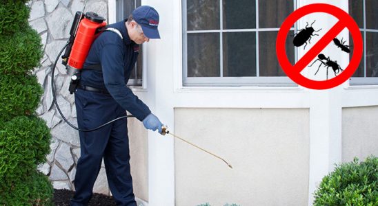 Süleymanpaşa Kene İlaçlama böcek ilaçlama ve haşere kontrolü — ilaclama-tr.com